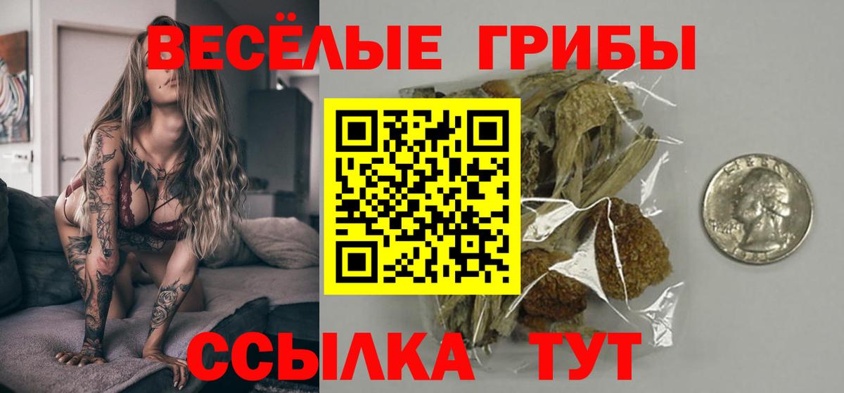 Бийск  Псилоцибиновые грибы мицелий  Вход с VPN 